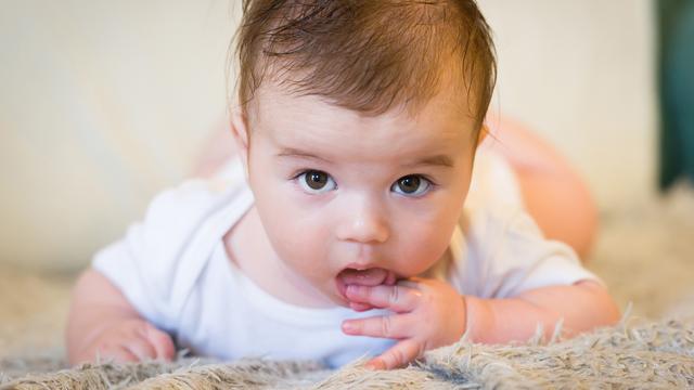 Le cerveau des bébés est un objet d'étude.
dobok
Fotolia [dobok]