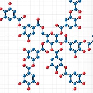 Une molécule de tanin.
avk97.yandex.by
Depositphotos [avk97.yandex.by]