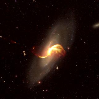 La galaxie spirale M106 vue ici dans une image optique (issue du "Sloan Digital Sky Survey") superposée avec les émissions radio LOFAR (en jaune orangé).
Cyril Tasse/Observatoire de Paris
PSL/LOFAR [PSL/LOFAR - Cyril Tasse/Observatoire de Paris]