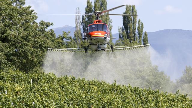 Sulfatage par hélicoptère dans le canton de Genève.
Salvatore Di Nolfi
Keystone [Salvatore Di Nolfi]