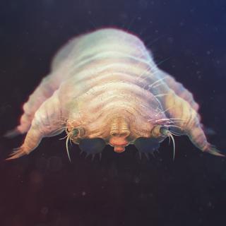 Le demodex est un tout petit acarien qui ressemble à une chenille et qui vit sur nos visages!
Kalcutta
Depositphotos [Kalcutta]