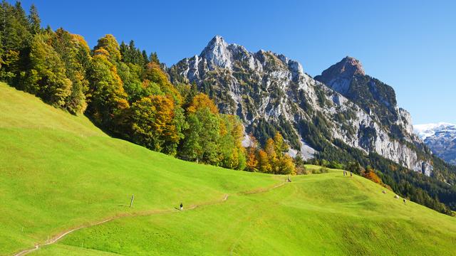 La vie en montagne est impactée par le changement climatique.
swisshippo
Depositphotos [swisshippo]