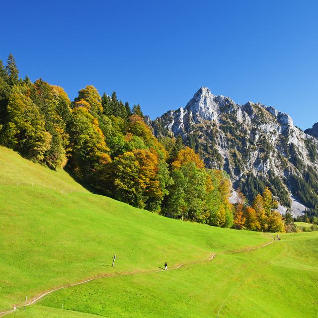 La vie en montagne est impactée par le changement climatique.
swisshippo
Depositphotos [swisshippo]