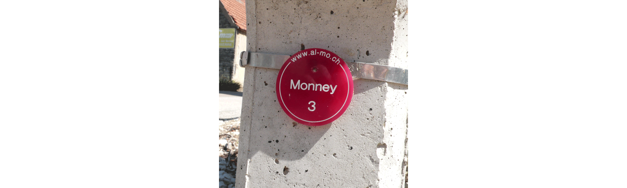 Alain Monney [RTS]