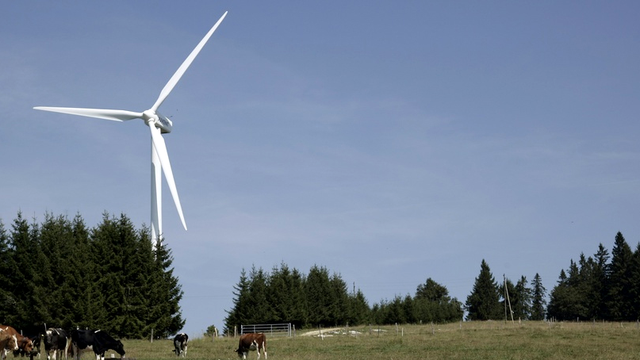 Au Mont-Crosin, dans le Jura bernois, les vaches paissent aux pieds des éoliennes.