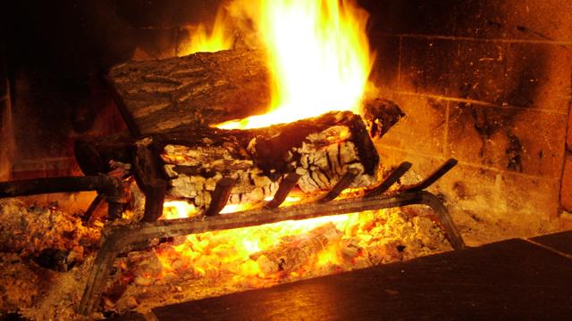 Selon la loi sur la protection de l'air, on ne peut brûler que du bois de forêt sec dans une cheminée. feu [khlorine1983]