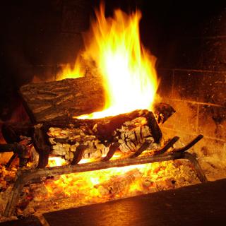 Selon la loi sur la protection de l'air, on ne peut brûler que du bois de forêt sec dans une cheminée. feu [khlorine1983]