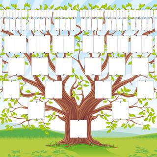 Un arbre généalogique de plusieurs générations… encore vide.
studiogriffon.com
fotolia [studiogriffon.com]