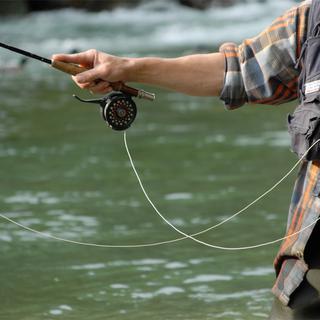 La pêche à la mouche, un hobby que partagent environ 4'500 passionnés en Suisse.
rémy masseglia
fotolia [rémy masseglia]
