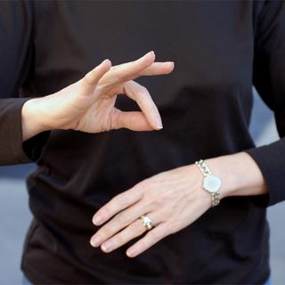 Malgré une version internationale utilisée lors de conférences, la langue des signes n'est pas universelle.
lawcain
fotolia [lawcain]