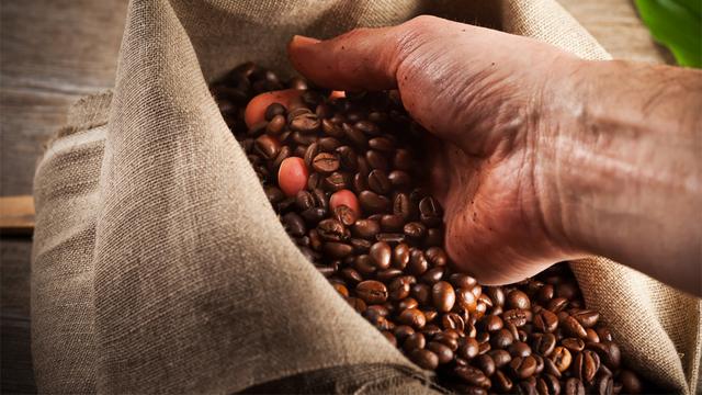 Le mode de production de la matière première est déterminant dans l'écobilan d'une tasse de café.
chlorophylle
fotolia [chlorophylle]