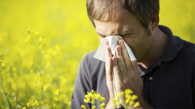 Les allergies aux pollens touchent de très nombreuses personnes en Suisse. 
Lichtmeister
Fotolia [Fotolia - Lichtmeister]