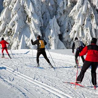 Les adeptes du ski de fond n'attendent pas le gros de la saison pour s'élancer sur les pistes. [Edler von Rabenstein]