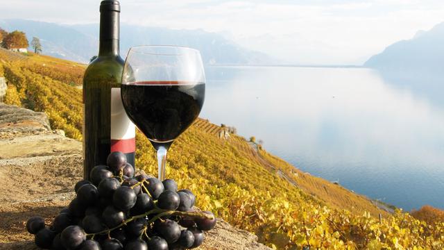 La contribution par litre de vin AOC déclassé en vin de table ne peut excéder 1 fr. 50. [HappyAlex]