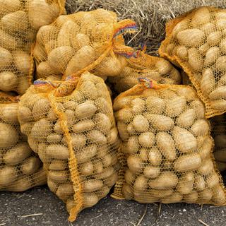 Selon le WWF, les deux tiers des pommes de terre cultivées en Suisse ne sont jamais consommées. [Dreadlock]