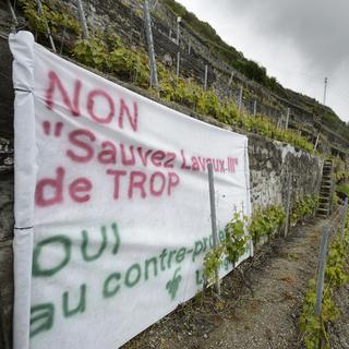 Une banderole sur les votations du 18 mai 2014 est accrochée dans le vignoble du Lavaux à Chardonne. [Laurent Gillieron]