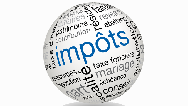 Le point sur les impôts 2014. [Wild Orchid]