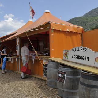 Stand spécialisé dans la vente d'abricots du Valais à Turtmann. [Schmid Maxime]