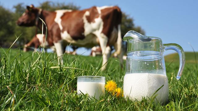 L'OSAV vise à garantir la sécurité alimentaire en Suisse. [HappyAlex]