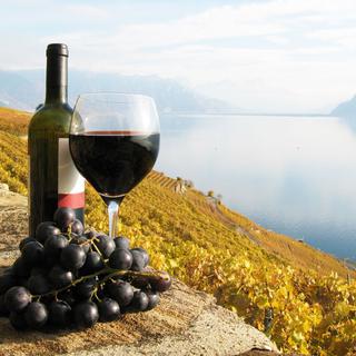 La contribution par litre de vin AOC déclassé en vin de table ne peut excéder 1 fr. 50. [HappyAlex]