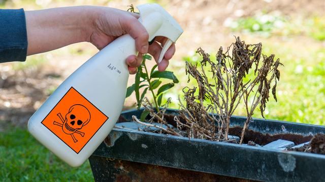 Les dangers des herbicides sur notre santé. [Fotolia - Pixavril]