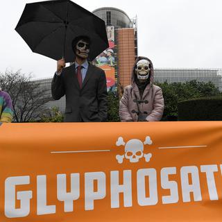 Au grand dam des activistes, l'UE a renouvelé la licence du glyphosate pour 5 ans, le 27 novembre 2017. [AFP - Emmanuel Dunand]