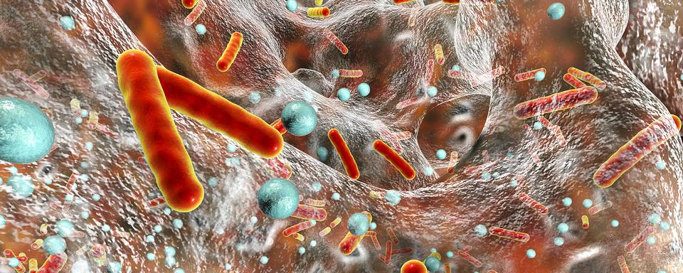 Comment freiner la résistance aux antibiotiques? [Fotolia - Kateryna Kon]