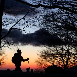 Fou de rando, de jour comme de nuit. [fotolia - marco iacobucci]