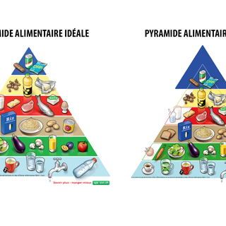 La pyramide alimentaire réelle ne ressemble pas à la pyramide idéale! [OSAV]