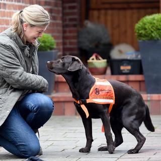 Cette chienne est dressée pour détecter l'hypoglycémie chez les patients diabétiques et peut demander de l'aide en cas d'urgence. [DPA - Carsten Rehder]