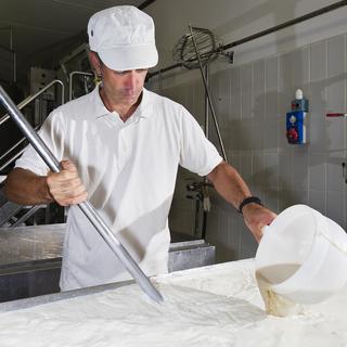 Un fabricant de fromage ajoute de la présure dans une cuve remplie de lait. [Fotolia - Maurizio Milanesio]