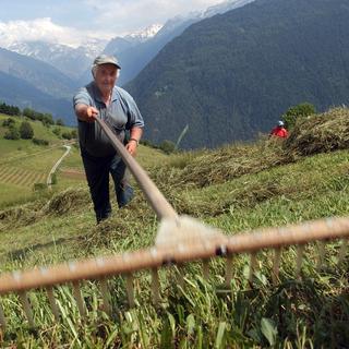 Un paysan de montagne fait les foins au Levron en Valais. [Keystone - Andree-Noelle Pot]