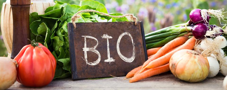 Les produits bio sont-ils plus sains que les autres? [Fotolia - M.Dörr & M.Frommherz]