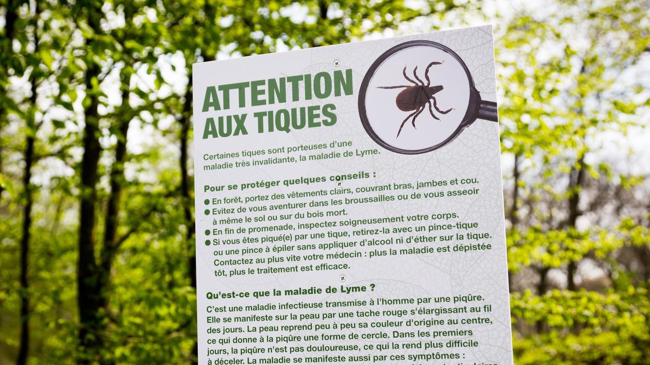 Affiche d'information et de prévention sur les tiques, en France. [AFP - GARO / Phanie]