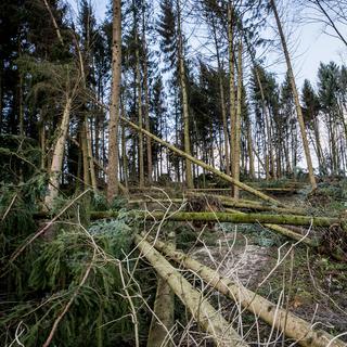 La tempête hivernale Burglind a causé de nombreux dégâts, le 3 janvier 2018. [Keystone - Christian Merz]
