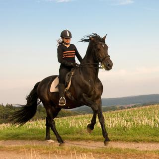 L'équitation est un sport qui cause des milliers d'accidents chaque année en Suisse. [Depositphoto - murysia]