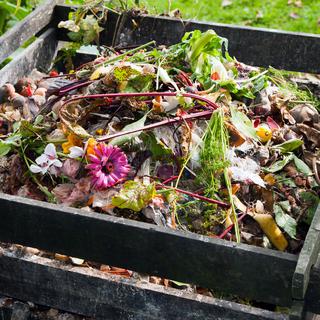 A Genève, un compost collaboratif a vu le jour, au coeur du quartier de Plainpalais (photo prétexte). [Fotolia - airborne77]