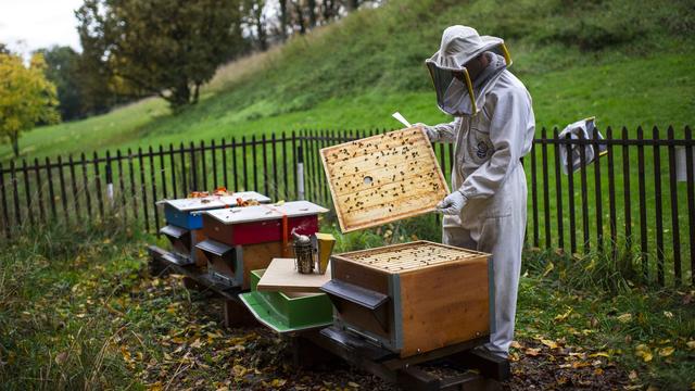 Récolte de Miel record, quel impact sur les consommateurs? [Keystone - ©Gian Ehrenzeller]