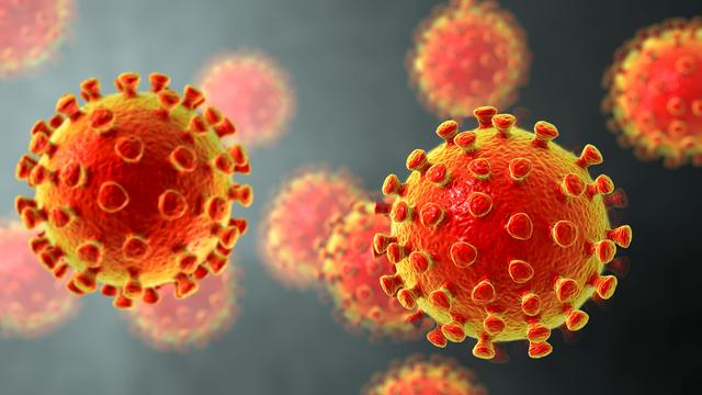 Illustration du virus Covid-19. [AFP / Science Photo Library - Kateryna Kon]