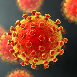Illustration du virus Covid-19. [AFP / Science Photo Library - Kateryna Kon]