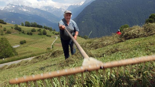 L'UDC craint notamment une baisse de revenu pour les paysans. [Keystone - Andrée-Noëlle Pot]