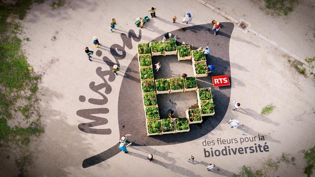 Mission B, une opération de la RTS pour la biodiversité. [RTS]