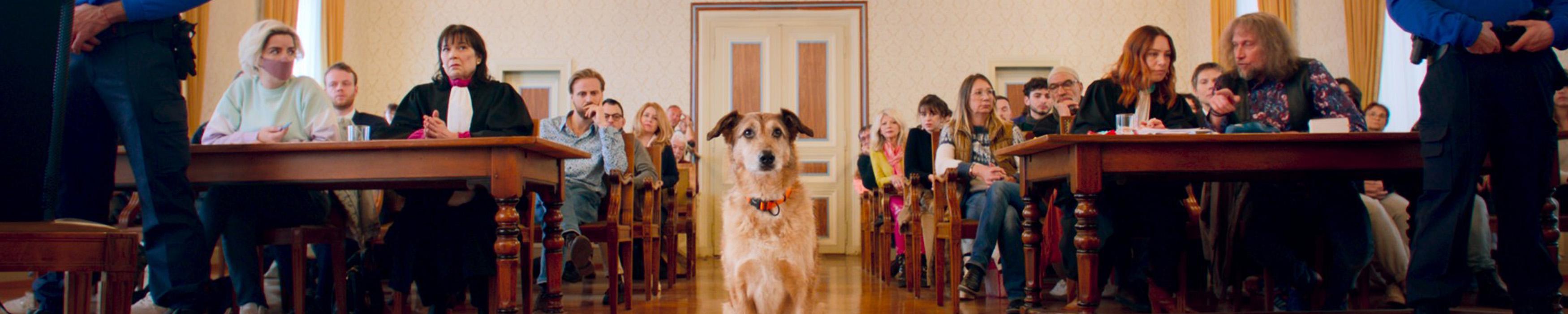 "Le procès du chien", un film de Laetitia Dosch. [RTS - Radio Télévision Suisse - France 2 Cinéma - Bande à part Films - Atelier de Production]