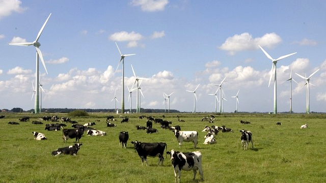 Champ d'éoliennes en Allemagne du nord. [AP/Keystone - Joerg Sarbach]