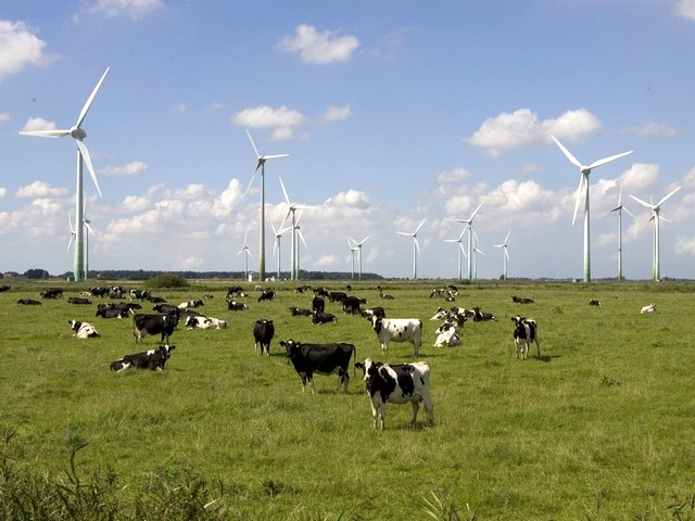 Champ d'éoliennes en Allemagne du nord. [AP/Keystone - Joerg Sarbach]