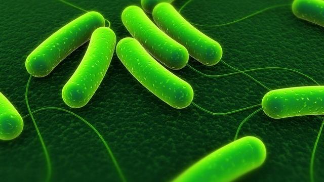 microbe... [Fotolia.com/Sebastian Kaulitzki]