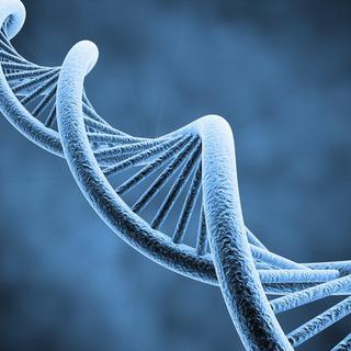 Désormais, l'on peut décoder l’ADN d’un individu en une journée [Sashkin - Fotolia.com]