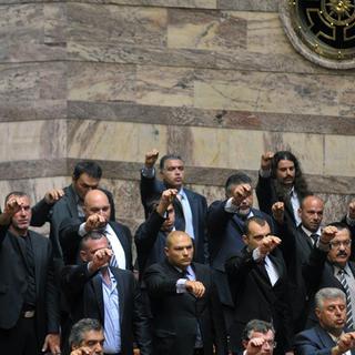 Le parti Aube dorée a envoyé 18 députés au parlement grec en 2012. [Louisa Gouliamaki / AFP]