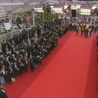 A l'honneur: le tapis rouge au festival de Cannes