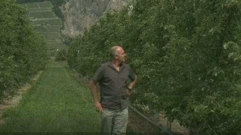 Verger dans la plaine du Rhône en 2010 [RTS]